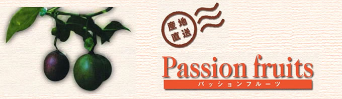 �p�b�V�����t���[�c