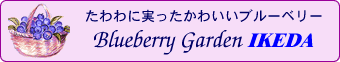 �����Ɏ��������킢���u���[�x���[�A�u���[�x���[�K�[�f��IKEDA